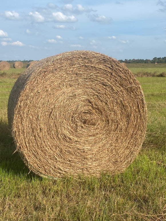 Hemarthria Roll (cow hay)