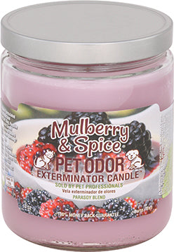 Mulberry & Spice Candle