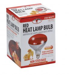 Bombilla para lámpara criadora de 250 vatios