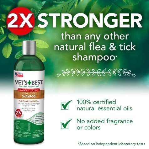 Advanced Strength Natural Flea + Tick shampoo