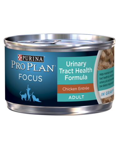 FOCUS Adult Urinary Tract Health Formula Chicken Entrée In Gravy Comida enlatada