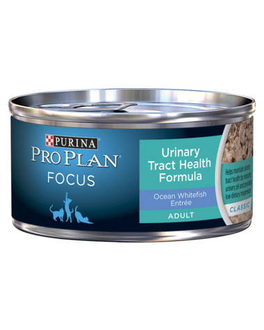 FOCUS Adult Urinary Tract Health Formula Ocean Whitefish Entrée Canned Food