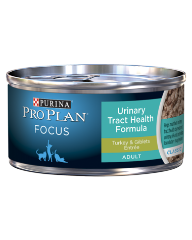 FOCUS Adult Urinary Tract Health Formula Turkey & Giblets Entrée Canned Food