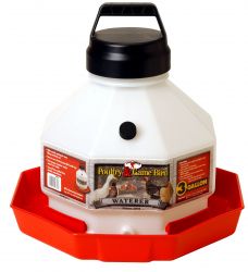 Plastic Game Bird & Poultry Waterer