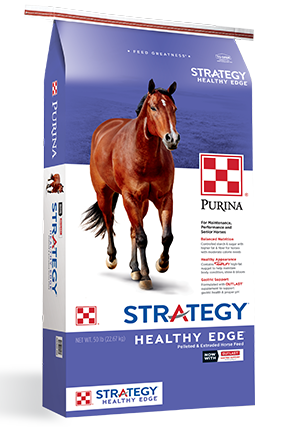 Estrategia Healthy Edge Alimento para caballos 