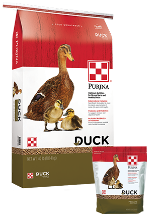 Duck & Duckling Feed Pellets