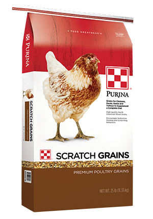 Scratch Grains Poultry Feed
