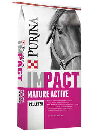 Impact Mature Active 10-6 Pelleted Horse Feed 50lbs