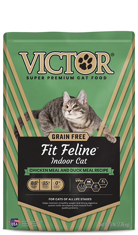 Grain-Free Fit Feline