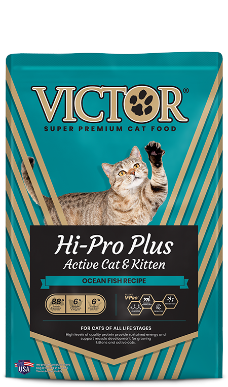 Hi-Pro Plus Active Cat & Kitten