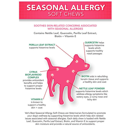 Seasonal Allergy Support Supplement